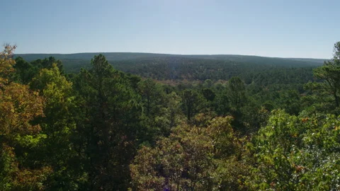Sweeping Drone Over a Forest of Trees and Into the Distance Stock Footage 149525582