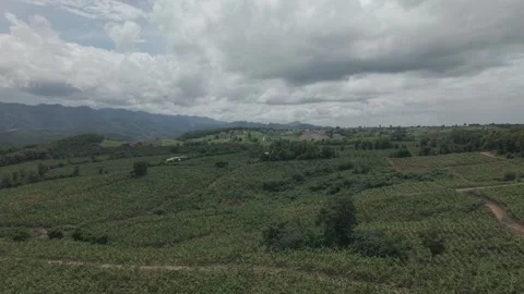 Sweeping Drone Over Mixed Crop Farmland Vídeos de archivo 337877751