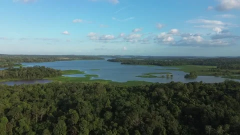 Sweeping Drone Perspective of Lush Rainforest Canopy Meeting Expansive Trop.. Stock Footage 325280976
