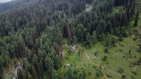 Sweeping drone shot of lush meadows and grazing fields in the Himalayas. Stock Footage 310656235