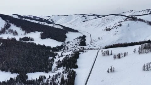 Sweeping drone view of snow covered mountains and dark pine forest in Xinjiang Stock Footage 336601678