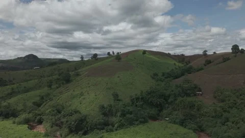 Sweeping Drone View of Tropical Hillside Pasture, Forest Edge, Rolling Hill.. Stock Footage 337531353