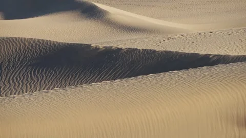 Sweeping Dune Curves in Warm Light, Maspalomas, Gran Canaria Stock Footage 344480203