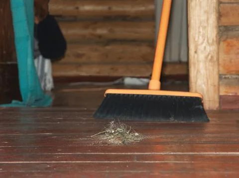 Sweeping Floor With Mop 库存照片