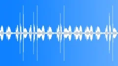 Sweeping Floor Sound Effect