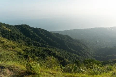 Sweeping Forested Valley View with Layered Hills and Ocean Haze Stock Photos