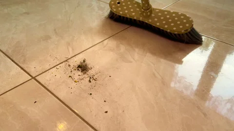 Sweeping garbage from the floor Stock Footage 220793526