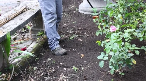 Sweeping the garden Stock Footage 55752110