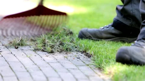 Sweeping grass of a stone path Stock Footage 60696197