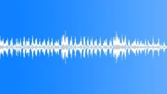 Sweeping, Hallway, Broom, Dusting, Loop, V1Sound Effect