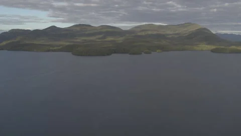 Sweeping Landscape shot of Pine Tree Mountains behind Lake in Alaska Drone Stock Footage 255319059