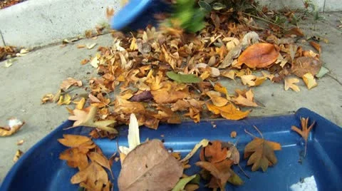 SWEEPING LEAVES Stock Footage 10599520