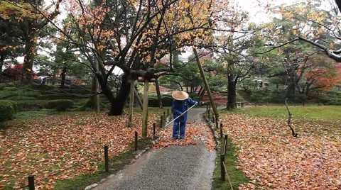 Sweeping leaves Stock Footage 46129682