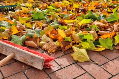 Sweeping leaves Stock Photos