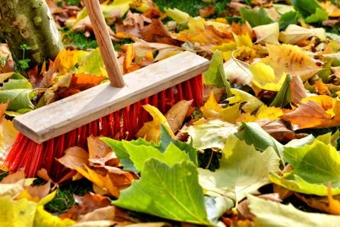 Sweeping leaves Stock Photos