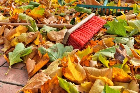 Sweeping leaves Stock Photos