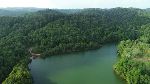 Sweeping panorama of Batam's pristine jungle meeting an emerald lake Видео 326190430