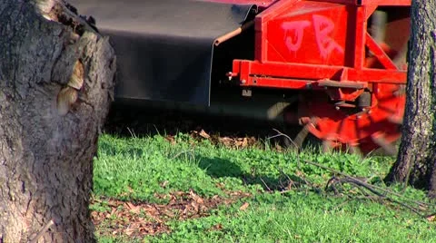 Sweeping Pecans 1 Video stock 10762710