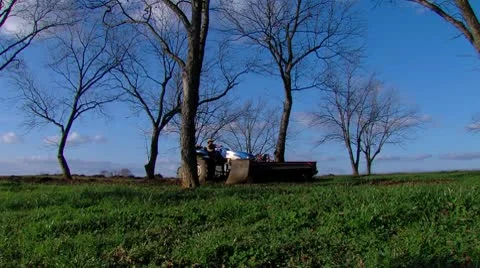 Sweeping Pecans 2 Video stock 10762695