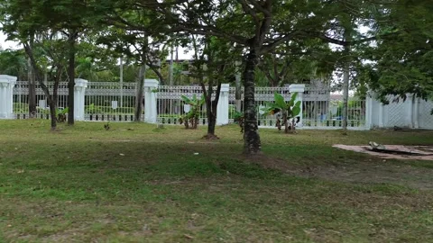 Sweeping perspective of a vibrant garden property, showcasing stately trees.. Video stock 339037371