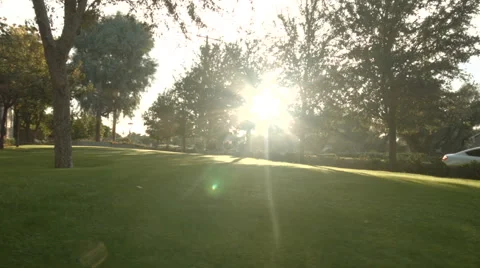 Sweeping Shot of Large Yard as the Sun Shines Between the Trees Stock Footage 61840409
