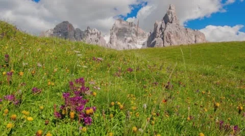Sweeping time lapse through a lush meadow with foreboding clouds in BG. Stock Footage 68307981