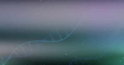 Sweeping two translucent DNA helices moving across abstract digital backdrop, Stock Illustration
