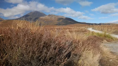 A sweeping vista with Mt. Ngauruhoe in the background 库存影片 112365589