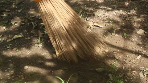Sweeping the yard Stock Footage 239714069