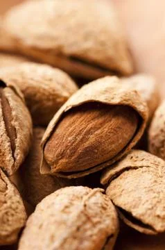 Sweet almonds with kernel Stock Photos
