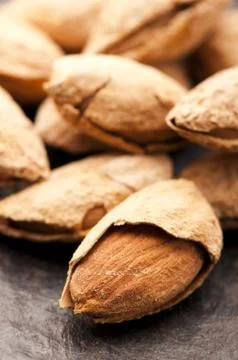 Sweet almonds with kernel Stock Photos