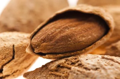 Sweet almonds with kernel Stock Photos