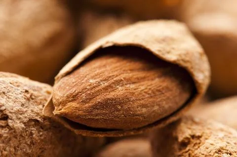 Sweet almonds with kernel Stock Photos