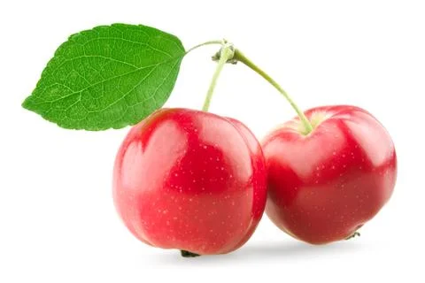 Sweet apples with leaf Stock Photos