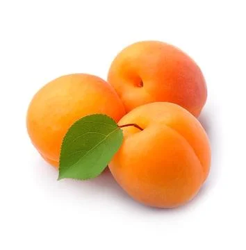 Sweet apricots isolated. Stock Photos
