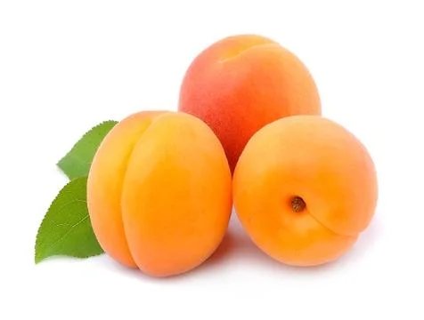 Sweet apricots isolated on white backgrounds. Stock Photos