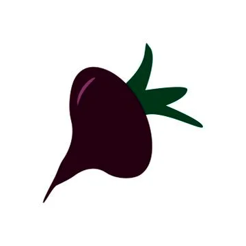 Sweet beets flat vector illustration. Fresh harvest Stock Illustration