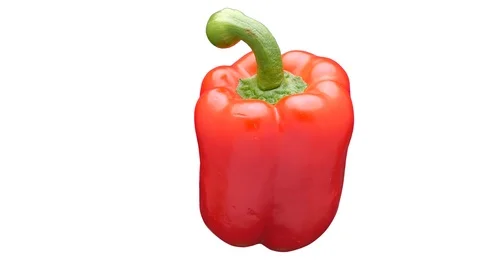 Sweet bell pepper isolated Video stock 105911067