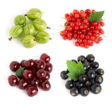 Sweet berries Stock Photos