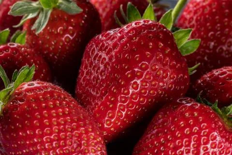 Sweet berries Stock Photos
