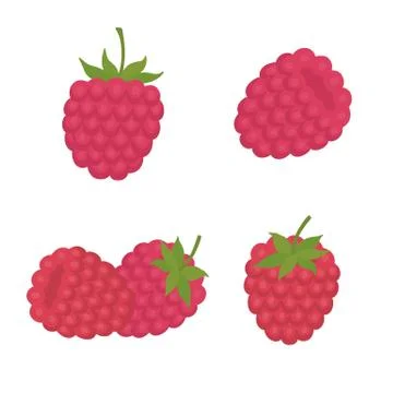 Sweet berry a raspberry Stock Illustration