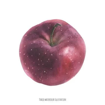 Sweet big red apple Stock Illustration