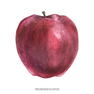 Sweet big red apple Stock Illustration