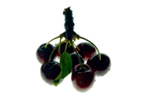 Sweet black cherry Stock Photos