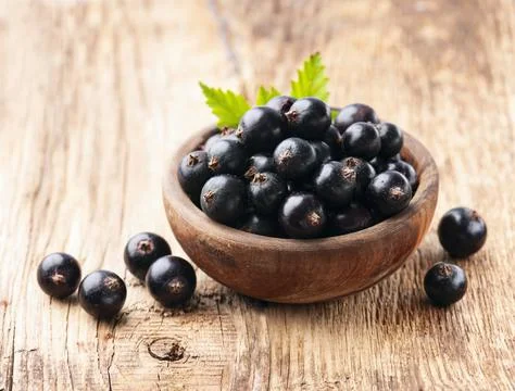 Sweet black currants Stock Photos
