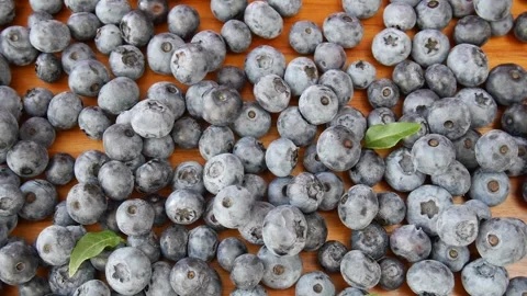 Sweet blueberries on the table. Stock Footage 302920317