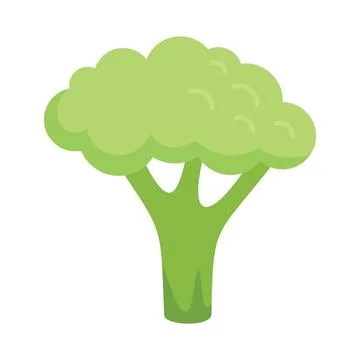 Sweet brocoli icon flat vector. Broccoli cabbage Ilustración de archivo