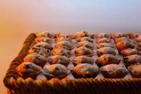 Sweet CAKE two part Stock Photos