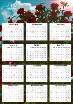 Sweet Calendar 2016 Stock Illustration