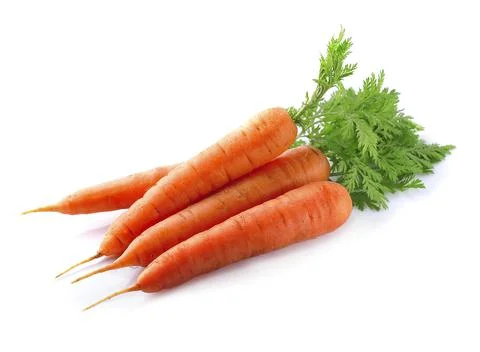 Sweet carrots root Stock Photos